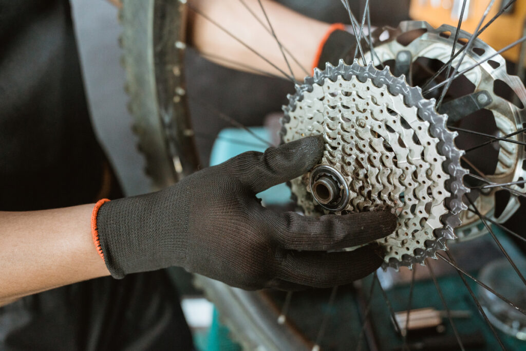 Differences Between The Freewheel And Cassette